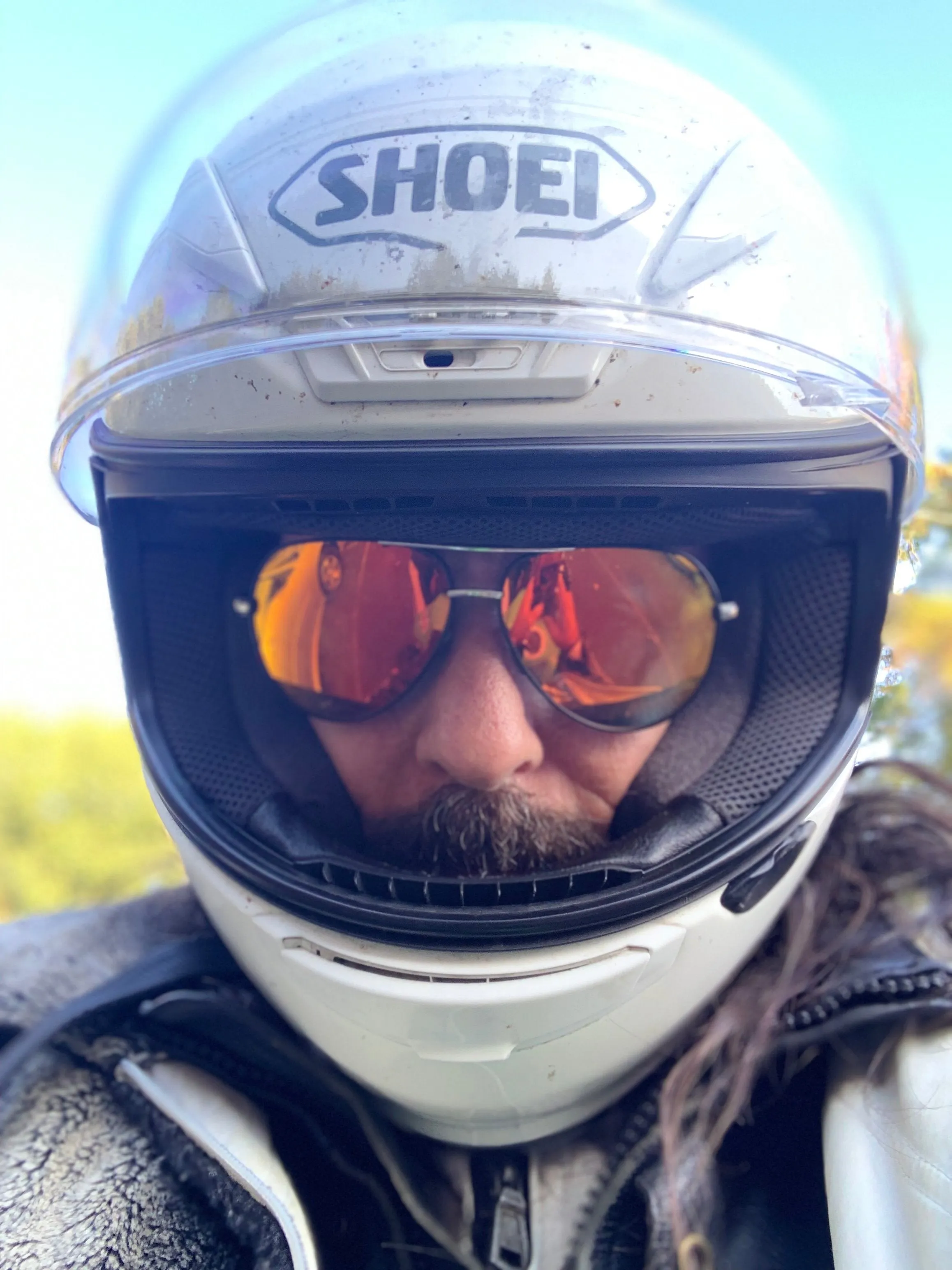 Best Damn Riding Sunglasses