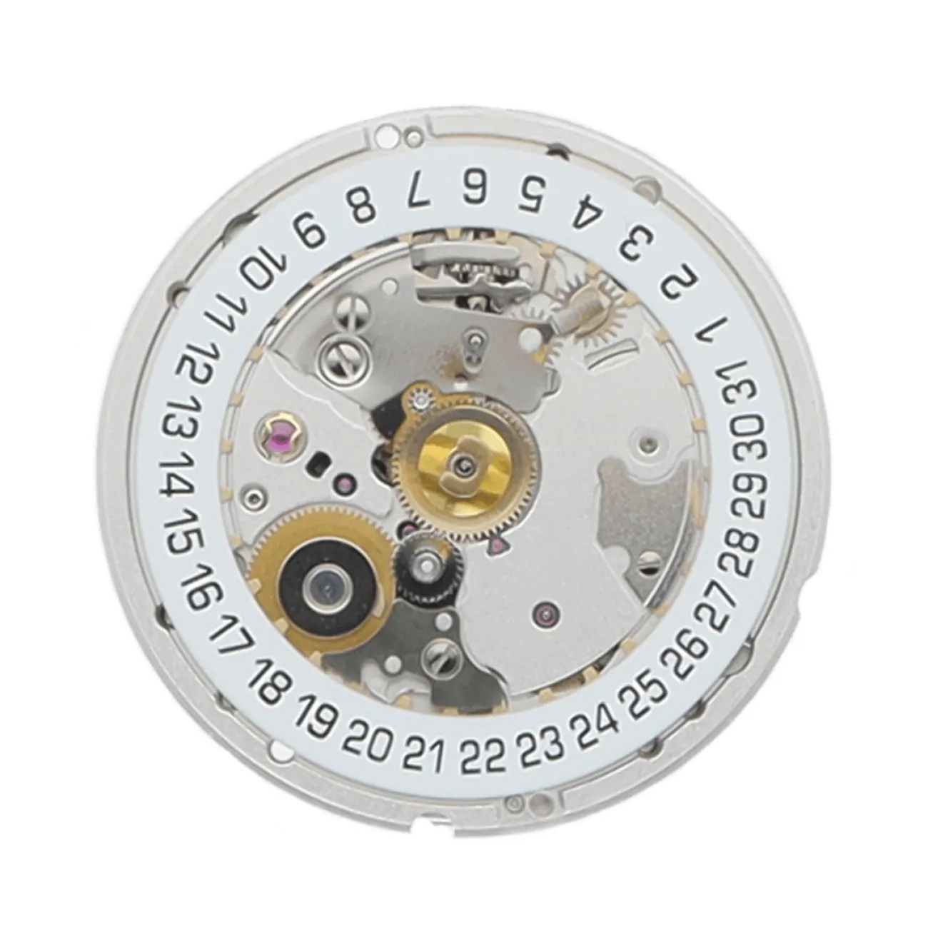 DIVER LADY 39MM STEEL