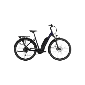 Giant EXPRESSION E  E-Bike - Black Currant