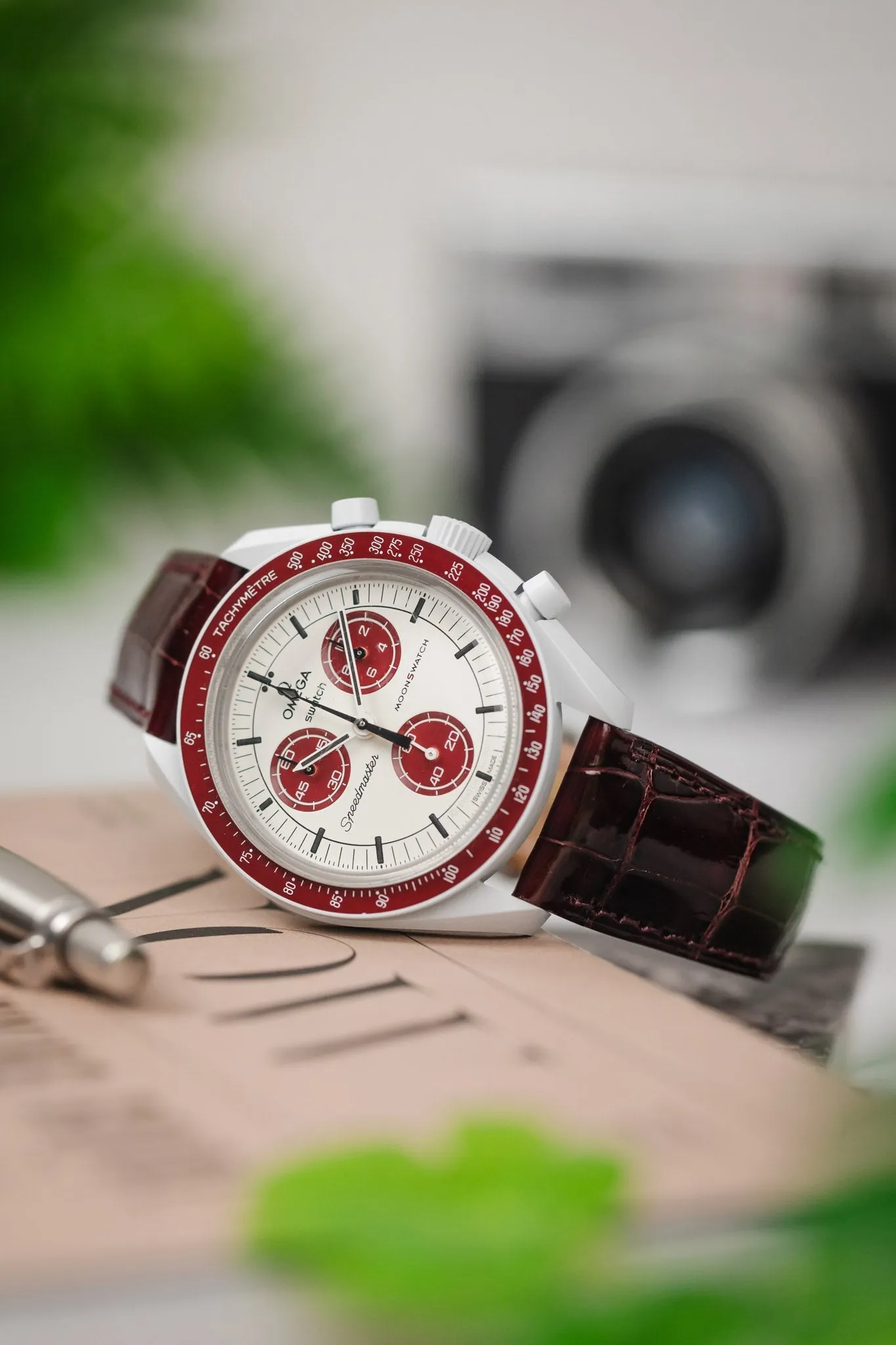Hirsch LONDON Shiny Alligator Leather Watch Strap in BURGUNDY