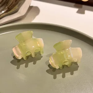 Mini Acetate Hair Clips