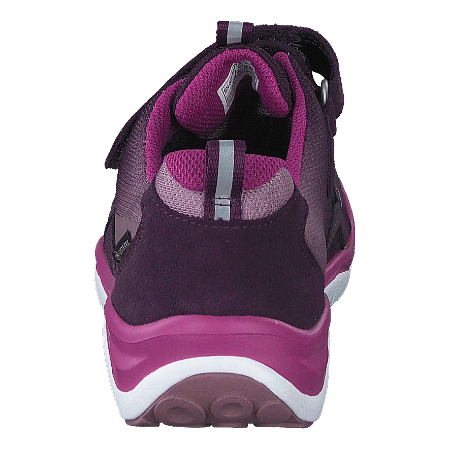 Sport5 GTX Low Purple