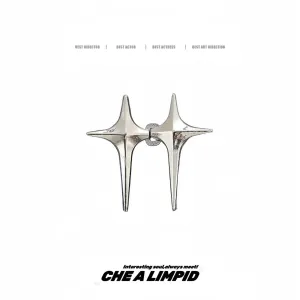 Star-Shaped Clip Waist Buckle